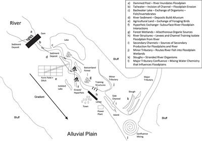 Incorporating the riverscape into models of river–floodplain function